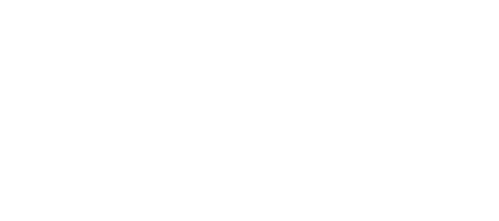 Financial and International Business Association (FIBA)