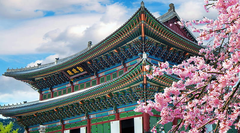 International Business in Seoul, South Korea Winter Break 2026