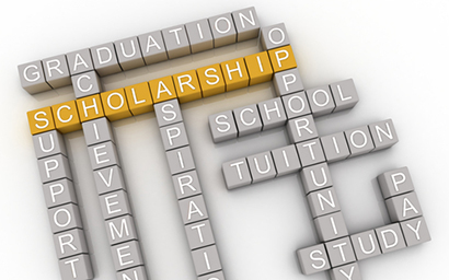 MSIRE graduate scholarships