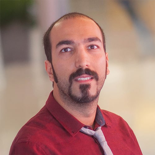 Pouyan Esmaeil Zadeh