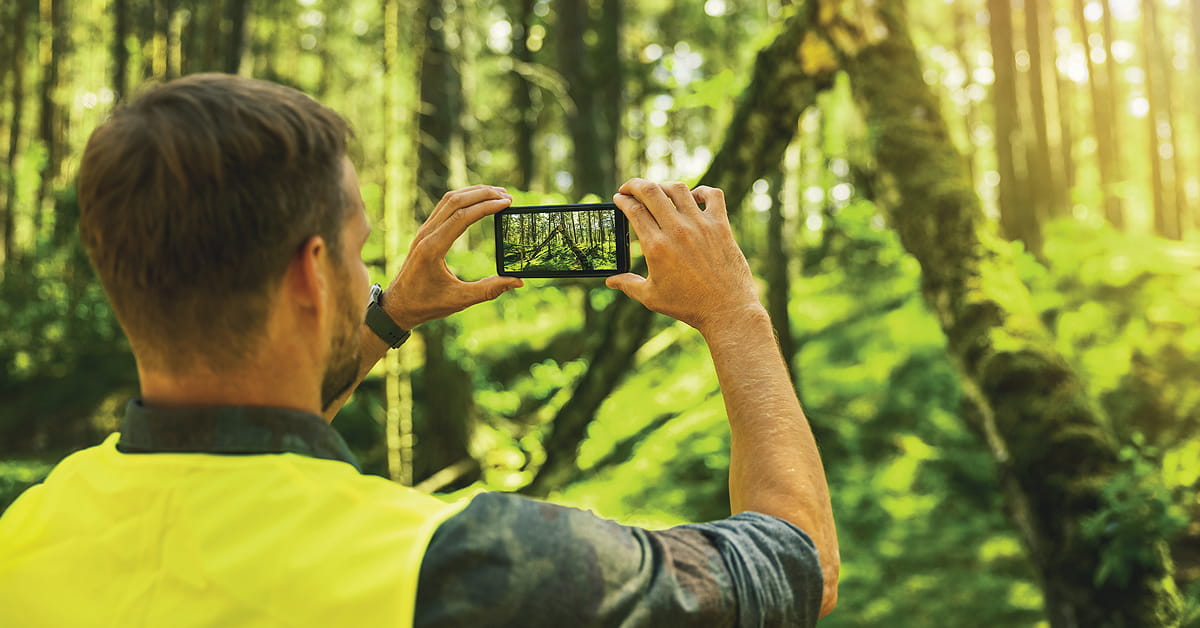 Students Focus on Deforestation in Global Competition
