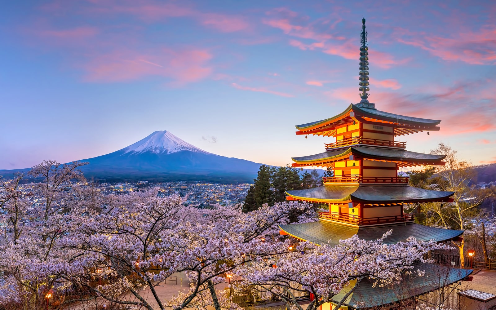 Study Tour in Japan