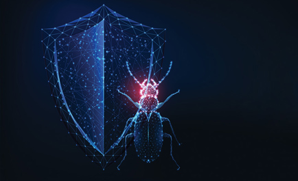 Bug Bounty Helps Keep Your Firm Safe From Hackers and Fraudsters