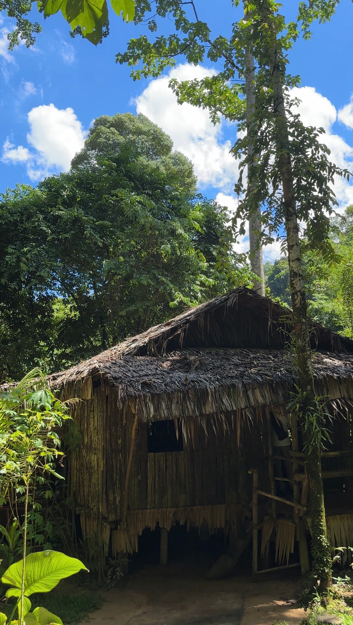 House in Mari Mari cultural village Malaysia